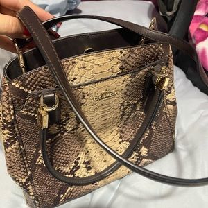COACH SNAKE PURSE